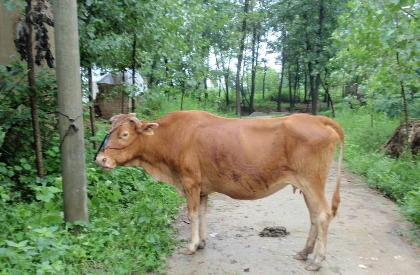 象山最新求一个套医保卡的黄牛是真的吗方法分析(最方便真实的象山求一个套医保卡的黄牛是真的吗还是假的方法)